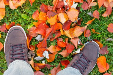 male legs on autumn leaves background