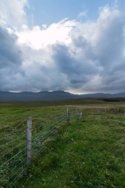 Yeşil tarlalı ve gökyüzüyle manzara