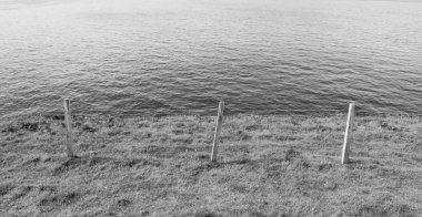 Deniz ve çimlerin güzel manzarası