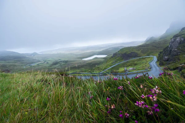 Bela Paisagem Com Flores Montanhas — Fotografia de Stock