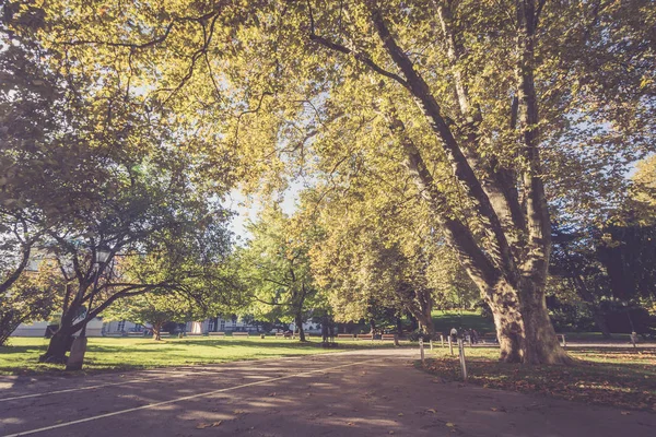 Háttér Színes Őszi Levelek Parkban — Stock Fotó