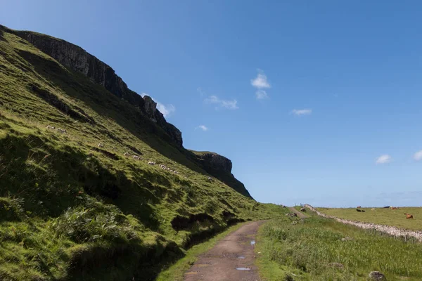 Hermoso Paisaje Fondo Del Prado — Foto de Stock