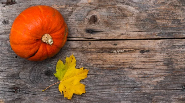 Hojas Brillantes Otoño Calabaza Fondo Cerca — Foto de Stock