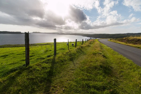 Hermoso Paisaje Lago Carretera — Foto de Stock