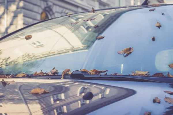 Herbstblätter Auf Dem Autohintergrund — Stockfoto