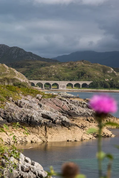 Bela Paisagem Com Lago Ponte — Fotografia de Stock