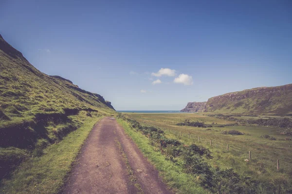 Hermoso Paisaje Fondo Del Prado — Foto de Stock