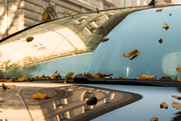 autumn leaves on window\'s car background