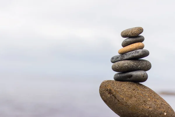 Piedras Las Rocas Fondo Del Mar — Foto de Stock