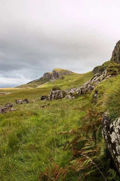 Bellissimo Paesaggio Montagna Con Campo Verde — Foto Stock