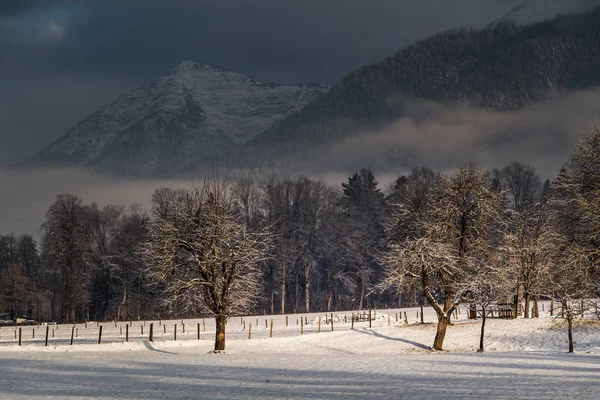 Bellissimo Paesaggio Montano Invernale — Foto Stock