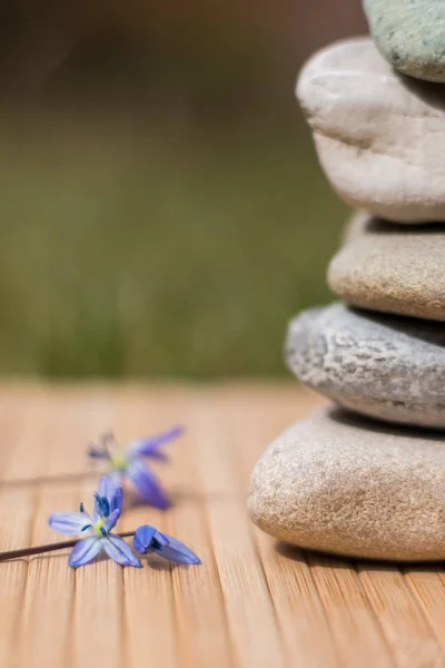 Spa Zen Kövek Virágok Asztalon — Stock Fotó