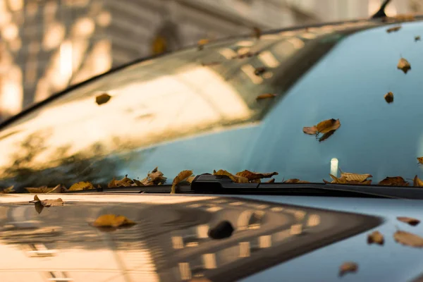 Samochód Jesiennymi Liśćmi Tle — Zdjęcie stockowe