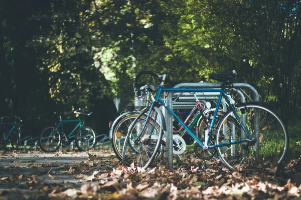 Bicicletas Parque Otoño Segundo Plano —  Fotos de Stock
