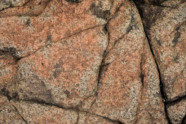 Grunge Texture Stone Wall — Stock Photo, Image