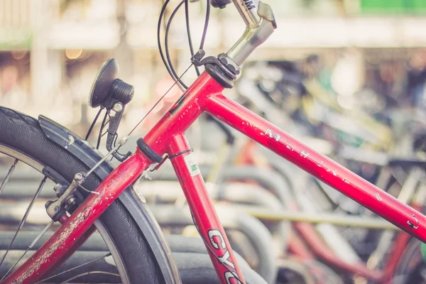 Biciclette Nel Parco Urbano Backgrund — Foto Stock