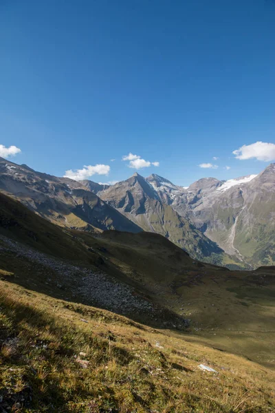 Альпійський Пейзаж Луг Ліс Горах Синє Небо — стокове фото