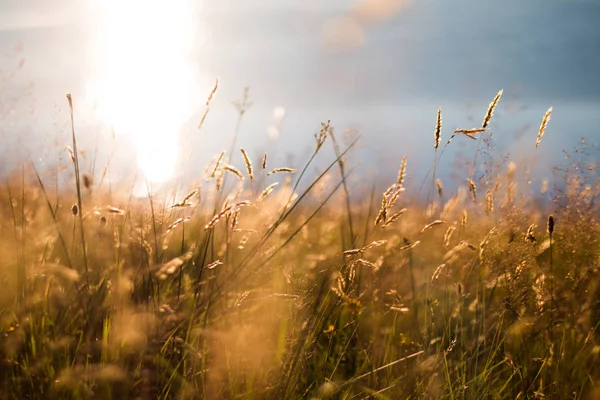 Schöner Sonnenuntergang Über Dem See Hintergrund — Stockfoto