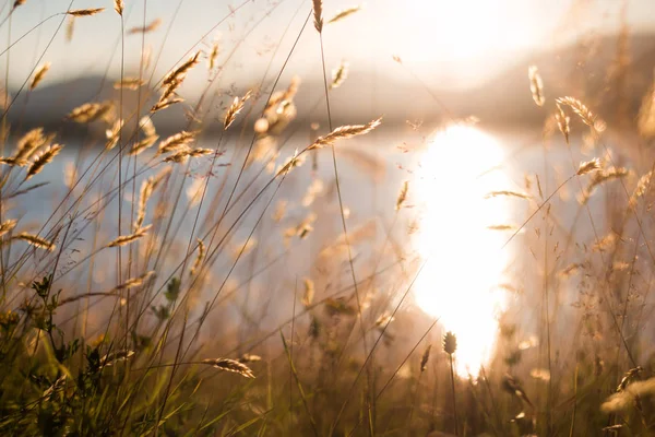 Schöner Sonnenuntergang Über Dem See Hintergrund — Stockfoto