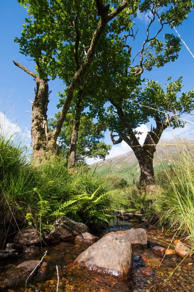 Berg Landskap Med Ström Bakgrunden — Stockfoto