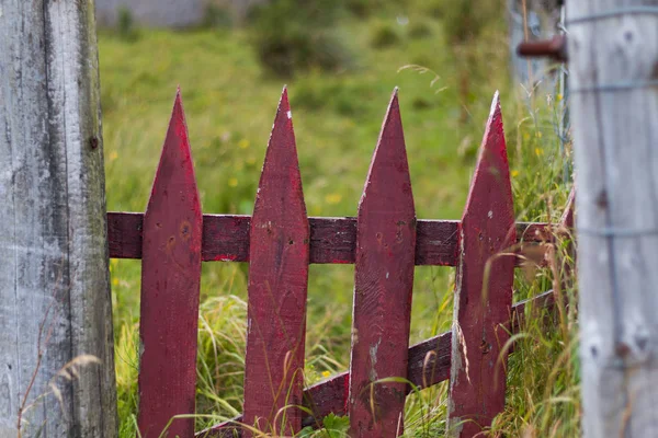 Old Wooden Fence Garden — Stock Photo, Image