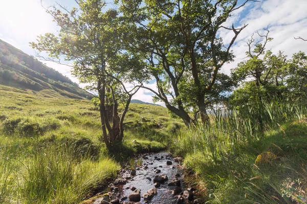 Paesaggio Montano Con Ruscello Sullo Sfondo — Foto Stock