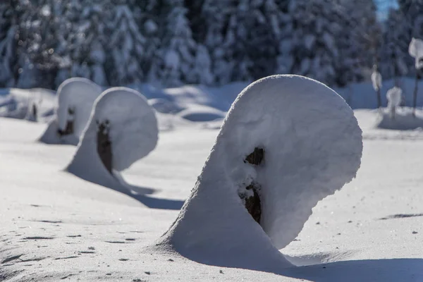 Χειμερινό Τοπίο Χιόνι Στο Παρασκήνιο — Φωτογραφία Αρχείου