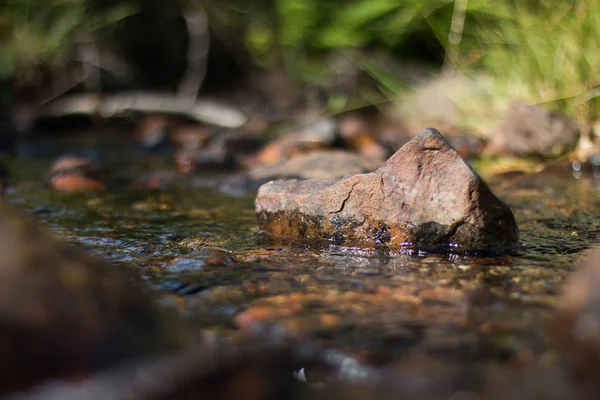 Mountain Landscape Stream Background — Stok Foto