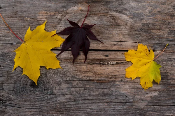 Hojas Otoño Sobre Fondo Madera — Foto de Stock