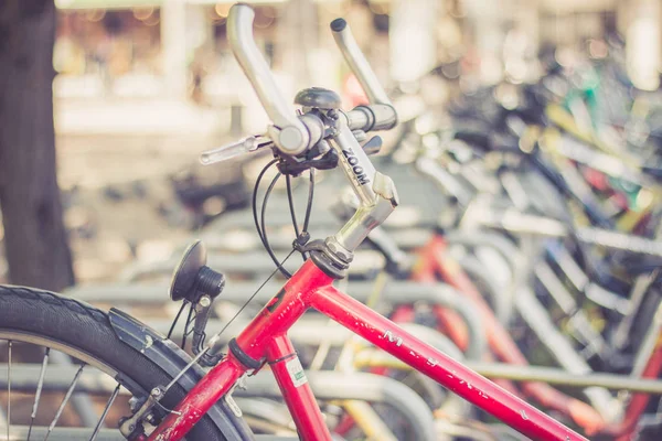 Fahrräder Stadtpark — Stockfoto