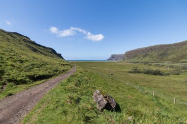beautiful landscape on  meadow background