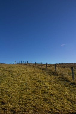 Mavi gökyüzü ile güzel altın bir tarla