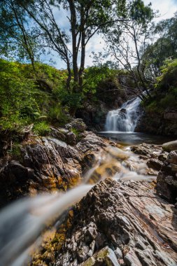 sonbahar ormanında şelale dere.