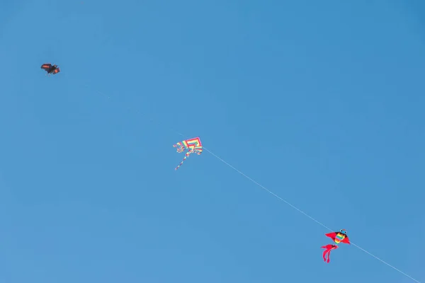 Vliegers Vliegen Blauwe Lucht Achtergrond — Stockfoto