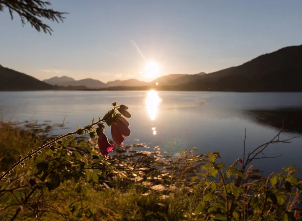 Hermosa Puesta Sol Sobre Fondo Del Lago — Foto de Stock