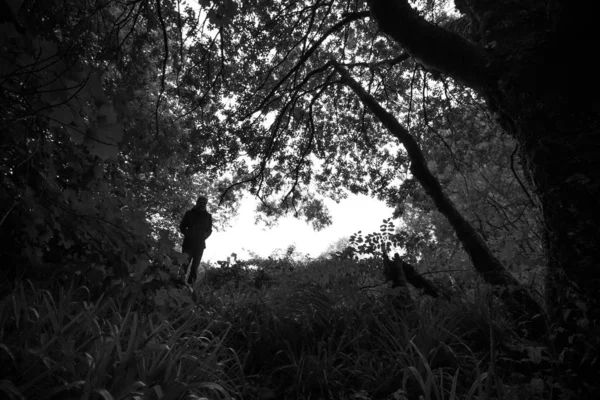 Man Wandelen Natuurlijke Achtergrond — Stockfoto