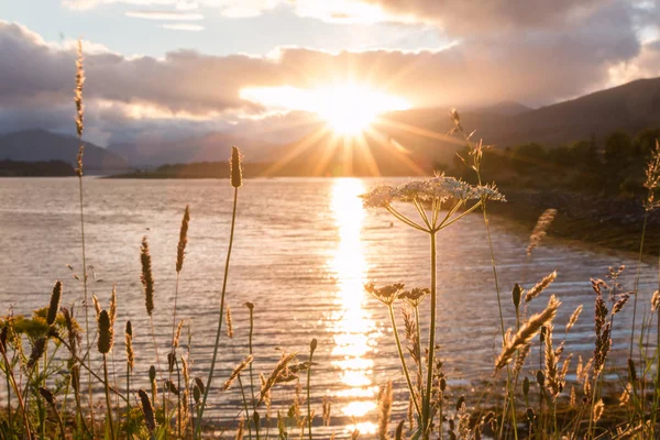 Beau Coucher Soleil Lac Soirée — Photo