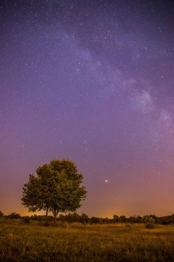 Güzel bir gece sahne yıldız, çayır ve bir ağaç, sıcak mor renk