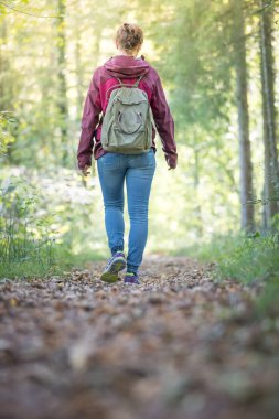 Sırt çantalı bir kadın sonbahar ormanında yürüyor. Yapraklar dökülüyor.  