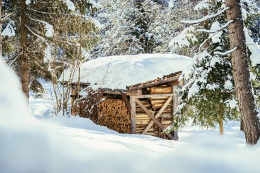 Arka planda kışın yakacak odun yığını