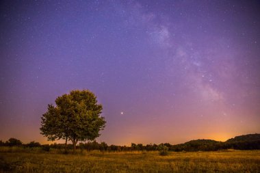 Güzel bir gece sahne yıldız, çayır ve bir ağaç, sıcak mor renk