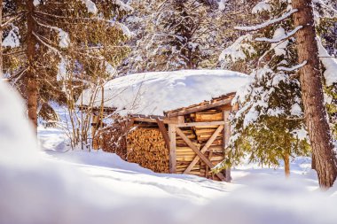 Arka planda kışın yakacak odun yığını