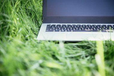 Yeşil çimenlikteki dizüstü bilgisayarı kapat 