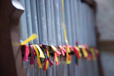 rengarenk başlıklı bir sürü kitap