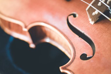 Bir keman Görünümü Kapat dizeleri ve köprü 