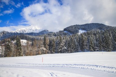 Dağlarda kış ormanı