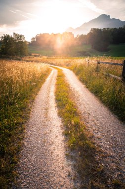 Panoramik pastoral dağ manzarası