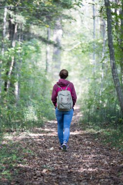 Sırt çantalı bir kadın sonbahar ormanında yürüyor. Yapraklar dökülüyor.  