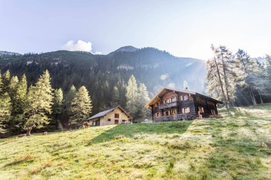 Dağlarda ahşap bir ev.