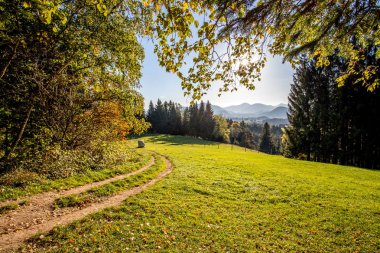 Sonbaharda parkta yol